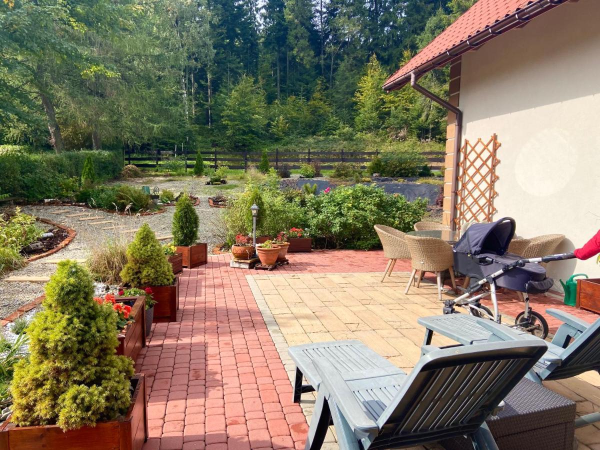 Agroturystyka Sarni Stok Krynica Zdroj Eksteriør bilde