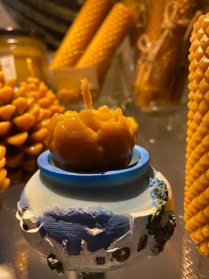 Agroturystyka Sarni Stok Krynica Zdroj Eksteriør bilde