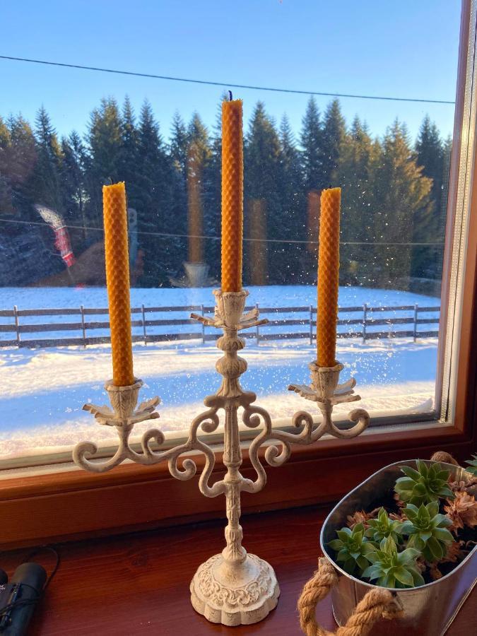 Agroturystyka Sarni Stok Krynica Zdroj Eksteriør bilde